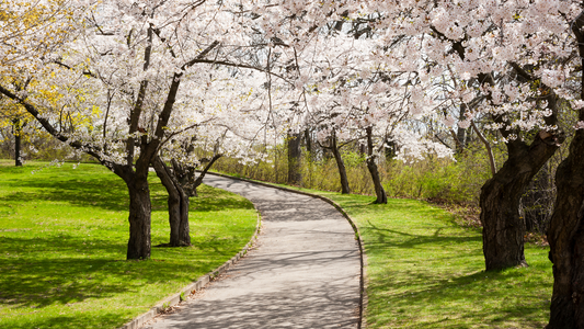 The Art of Renewal: Spring Skincare with Flânerie