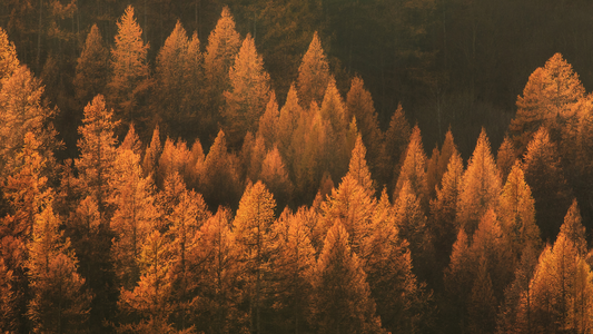 Skincare Swap: Transitioning Your Routine from Summer to Autumn