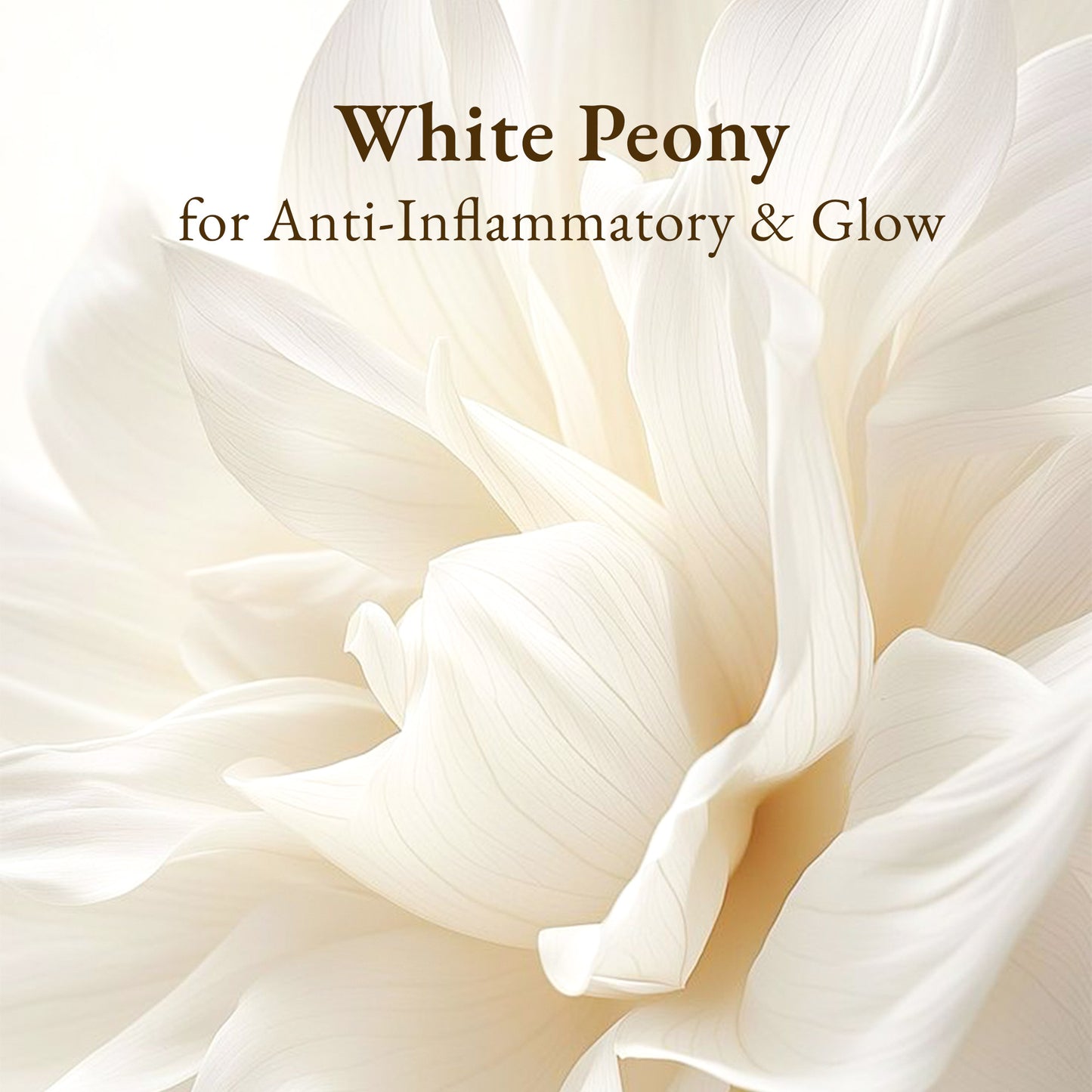 Resurfacing Overnight Moisturiser