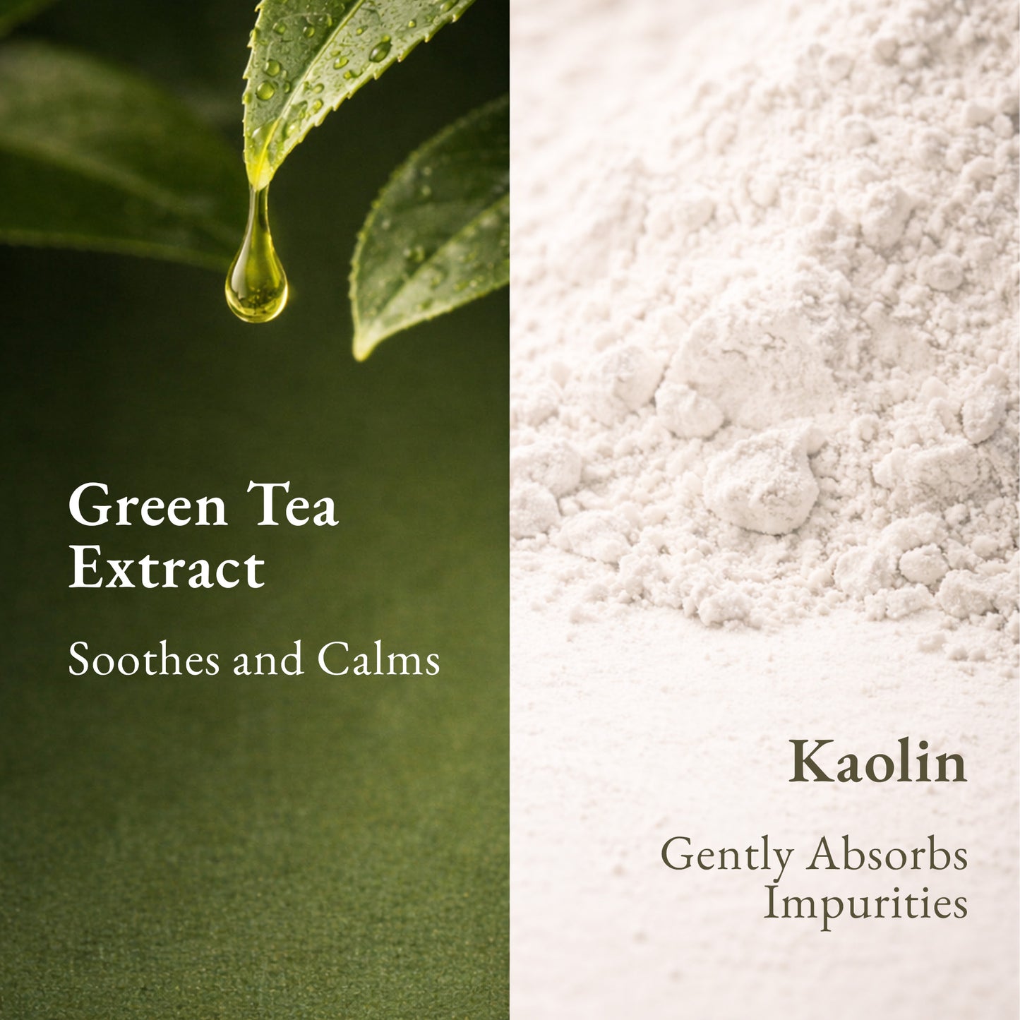 Purifying Cleansing Powder